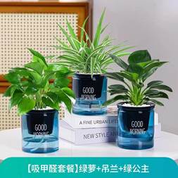 85bc16c6445431b345b8e519e475cd4